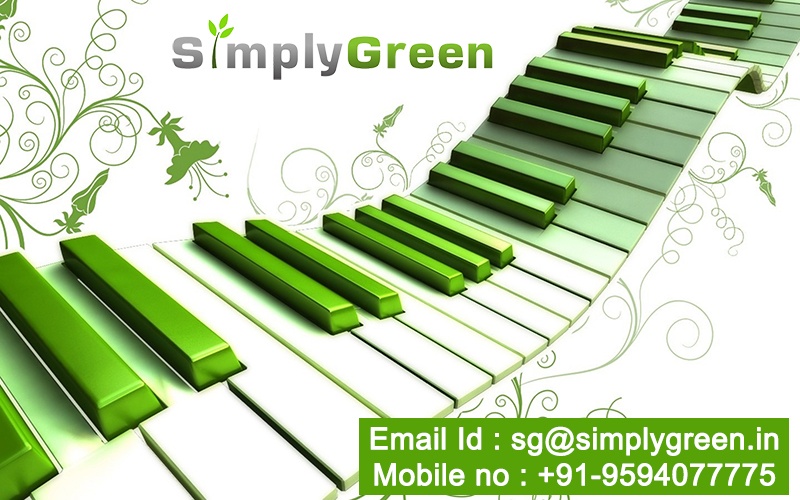 sgreen new.jpg